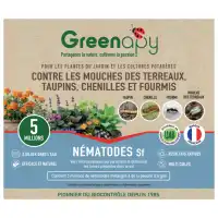Nématodes Sf anti mouche des terreaux, taupins, chenilles et fourmis