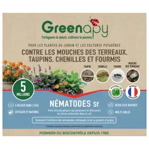 Nématodes Sf anti mouche des terreaux, taupins, chenilles et fourmis