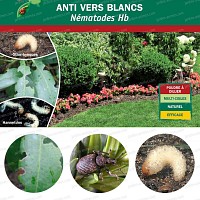 Nematodes Hb anti vers blancs Otiorhynque lutte bio