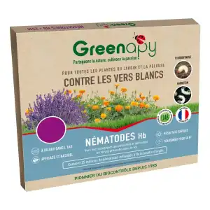 Nématodes Hb anti vers blancs Hannetons et Otiorhynques