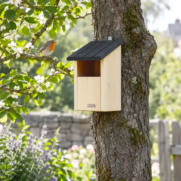 nichoir oiseau bois grande ouverture