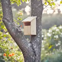 Nichoir ouvert pour Rouge-gorge et Rougequeue noir en bois H.31cm