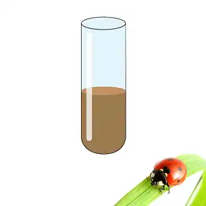 Nourriture pour coccinelles 5g - Oeufs de papillons