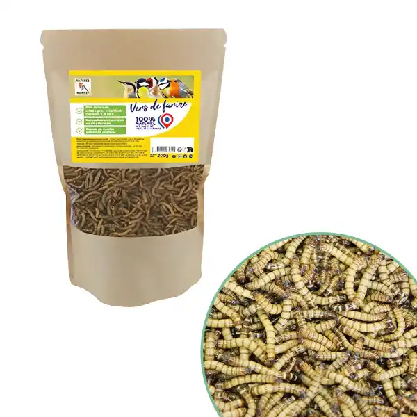 nourriture oiseau vers de farine