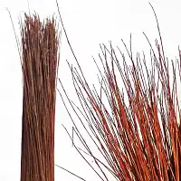 Osier sec pour tressage 100-120cm - Botte de 5kg  Osier sec pour tressage 100-120cm - Botte de 5kg