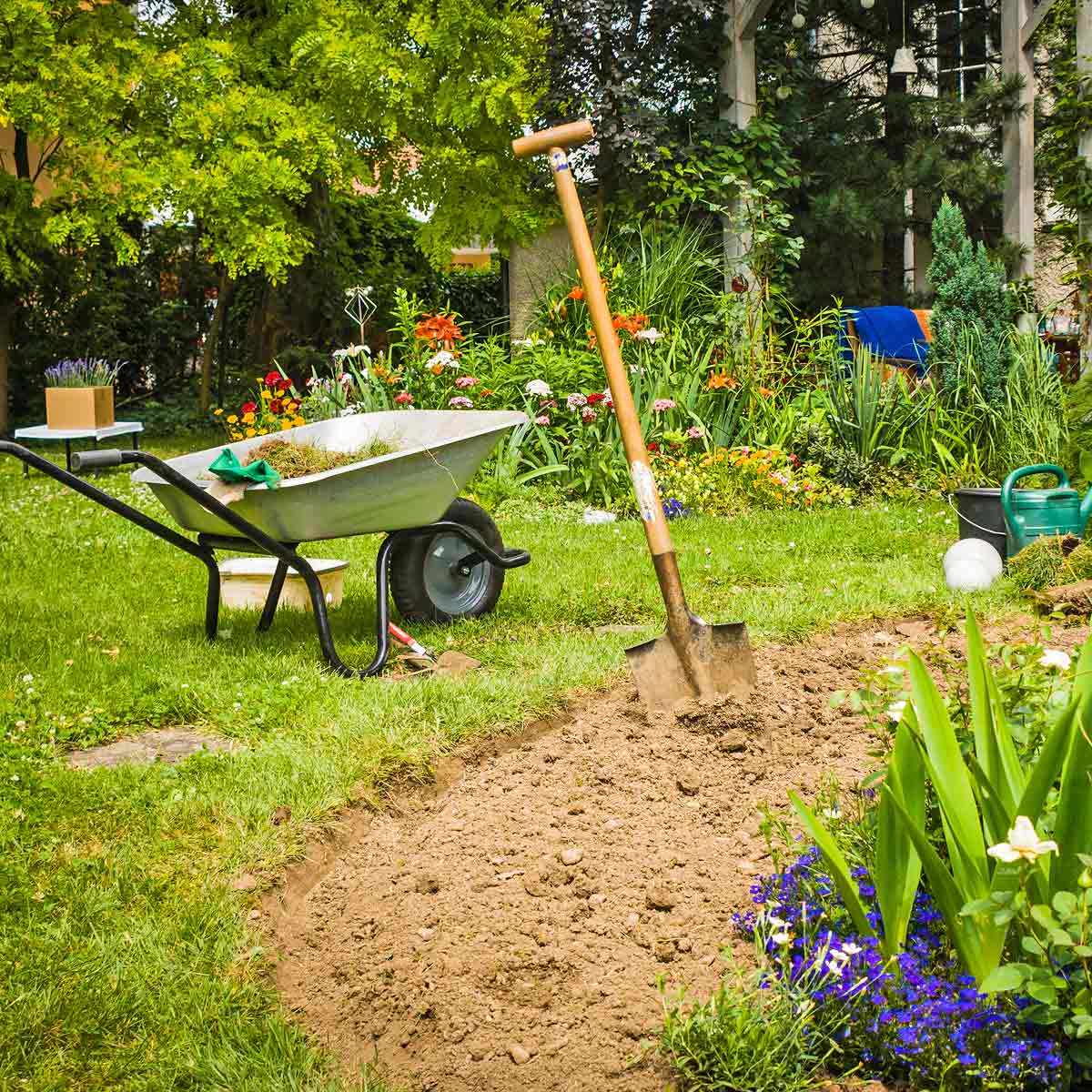 Griffe de jardin, binette, beche... choisir le bon outil pour travailler la terre - Brouette, echelle, secateur... les outils indispensables a l entretien du jardin