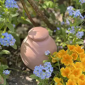 Oyas à planter ou enterrer brut - Réserve d'eau 45cl