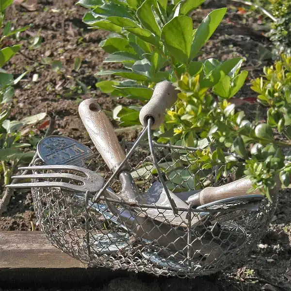 panier grillage recoltes  panier grillage recoltes