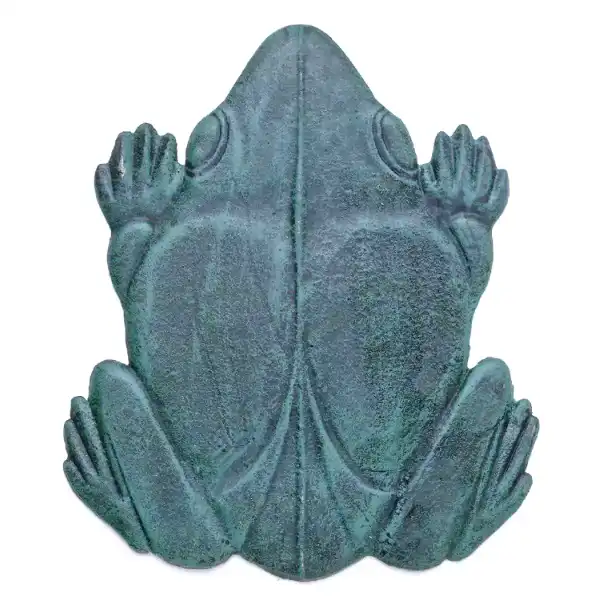 pas japonais grenouille vue dessus