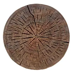 Pas japonais Rondin en fonte - Bronze