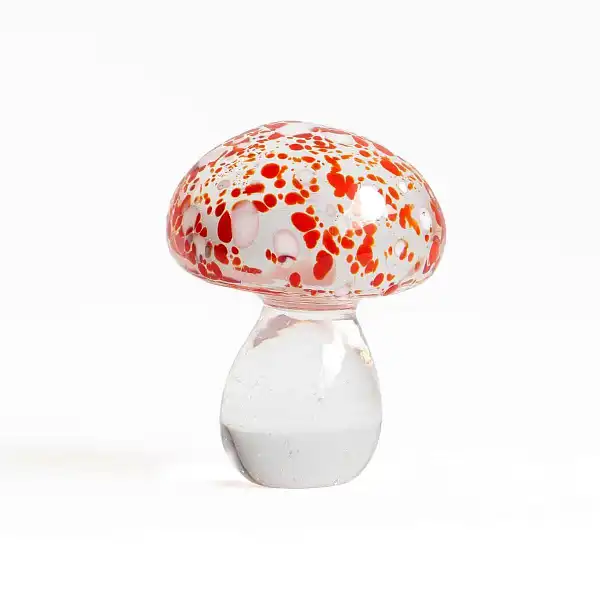 petit amanite champignon verre