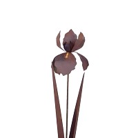 Décoration de jardin - Iris en métal rouillé - H. 87 x l. 12 cm