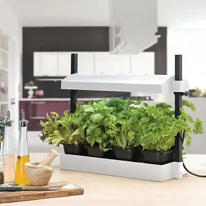 Petit potager d'intérieur hydroponique 4 bacs et 1 néon T5 - Blanc
