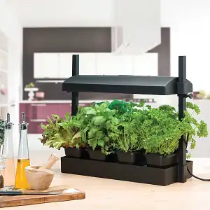 Petit potager d'intérieur hydroponique 4 bacs et 1 néon T5 - Noir