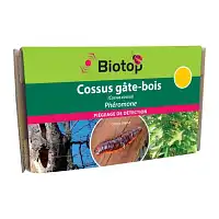 Phéromone Cossus gâte-bois (2 capsules)