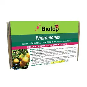 Phéromone contre la mineuse des agrumes - 3 mois (2 capsules)