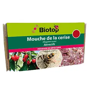 Lien vers un produit variante ou accessoire : Attractif ammoniacal mouche de la cerise - 2 mois (2 capsules)