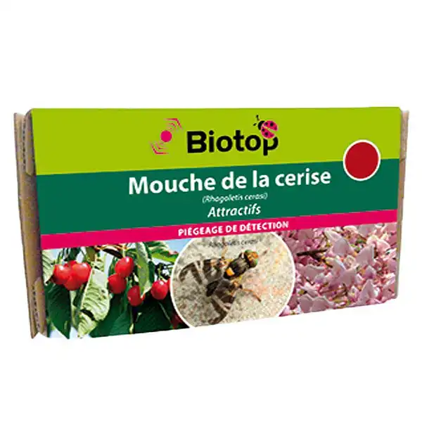pheromone mouche cerise