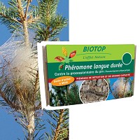 Phéromone contre la chenille processionnaire du pin - 6 mois (1 capsule longue durée)