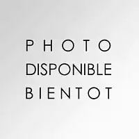 EM Clean 2L - Produit nettoyant naturel