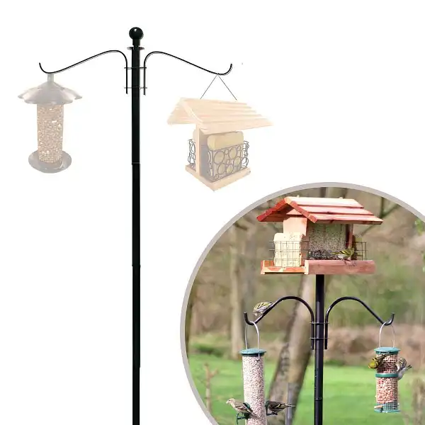 pied mangeoire oiseaux