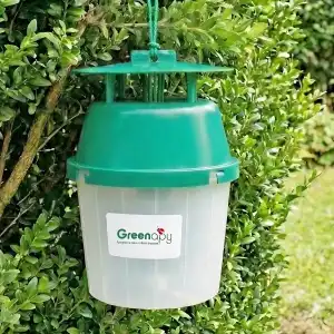 Lien vers un produit variante ou accessoire : Piège à phéromones universel pour papillons (pyrale, carpocapse, mineuse...) -vendu sans phéromone