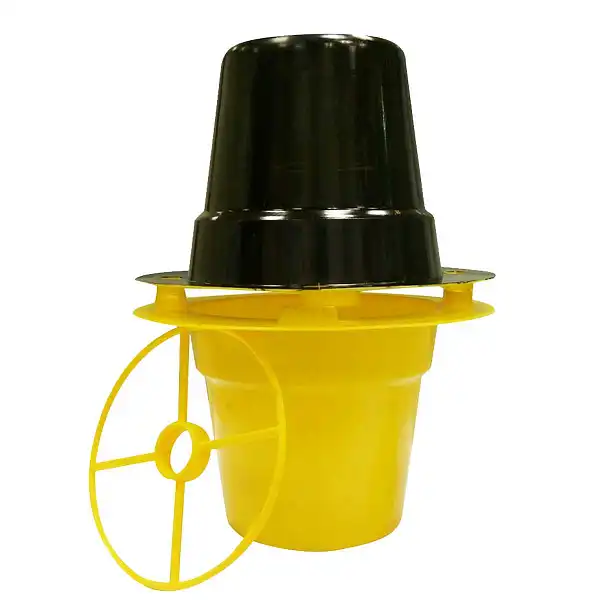 piege charancon rouge