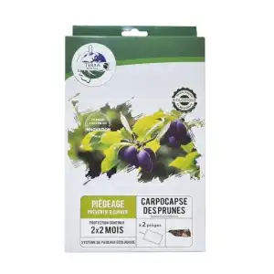 Piège collant avec phéromones contre le ver de la prune x2 - Plaques engluées, diffusion 2 mois