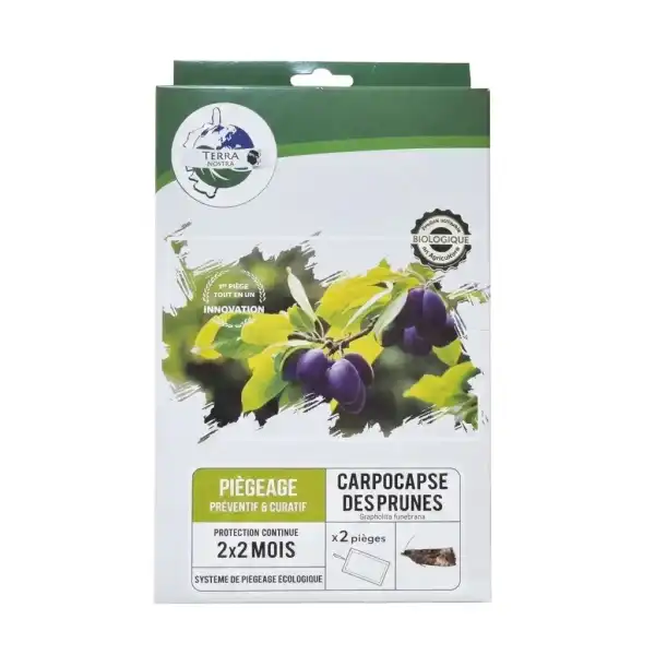 piege englue pheromone carpocapse prunes