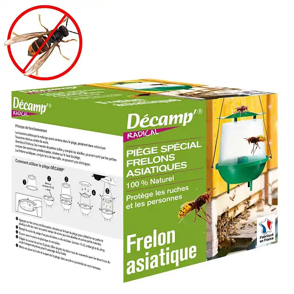 piege frelon asiatique
