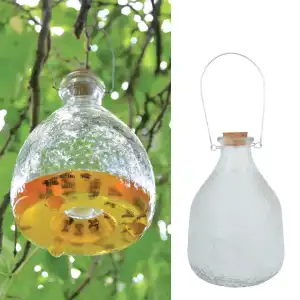 Piège à guêpes en verre à suspendre D.15cm