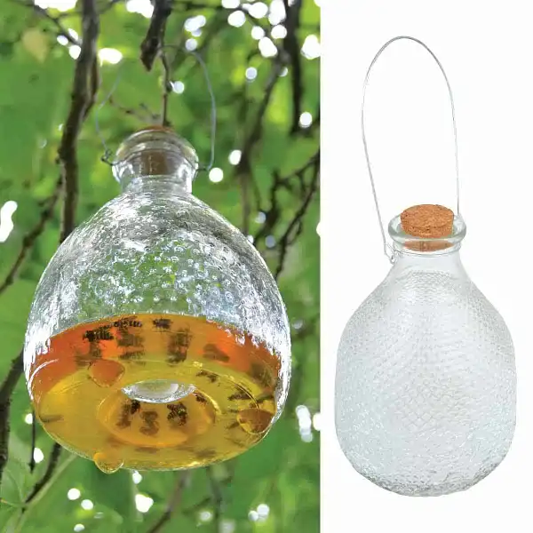 piege guepes frelon verre piege guepes frelon verre