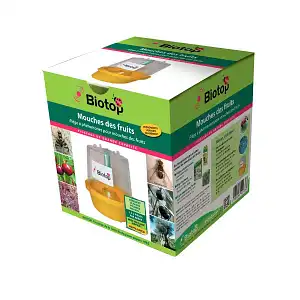 Piège à mouches -vendu sans phéromone
