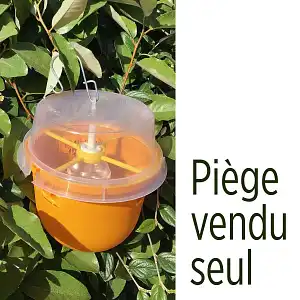 Piège à Phéromones SOLABIOL Contre La Mouche De L'olive - Détection Et Alerte, Utilisable En Agriculture Biologique, Fabriqué En France