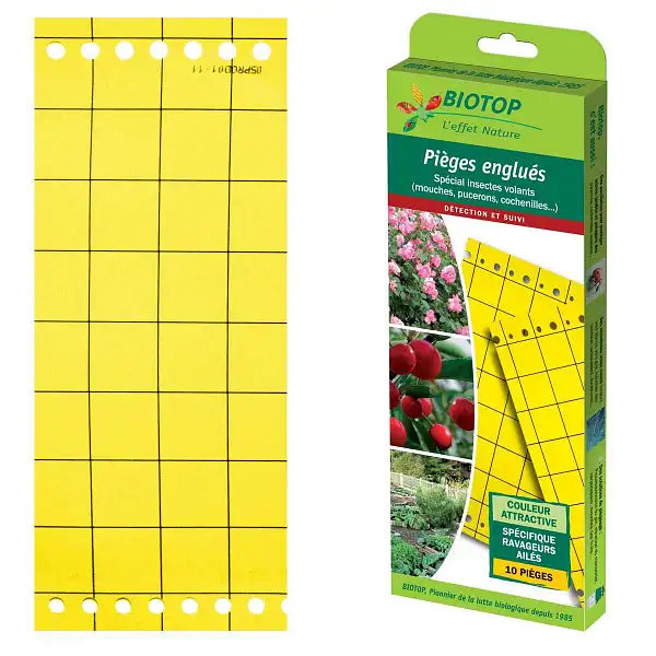 piege mouche glue jaune