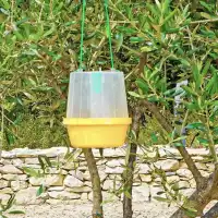 Piège à phéromones universel pour mouches (mouches des fruits, cerises, olives...) -vendu sans phéromone