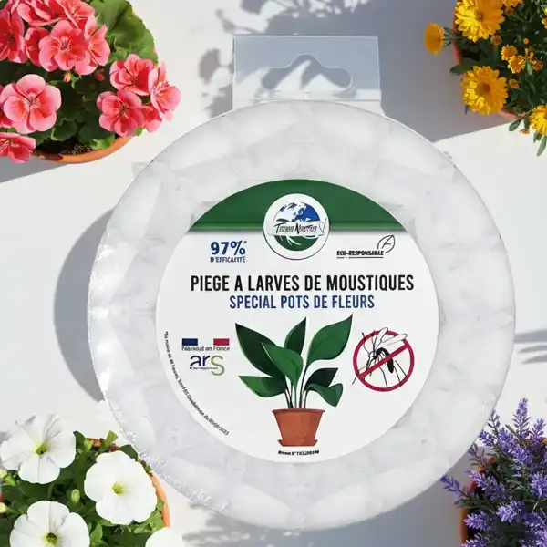 piege moustique larves soucoupe pot