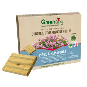 Piège otiorhynque adulte à base de nématodes - Pour 4 à 10m2, traitement 6 semaines