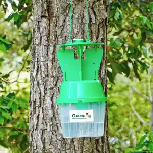 Piège à phéromones entonnoir à ailettes pour papillons (processionnaire du pin, cossus gâte-bois...) -vendu sans phéromone