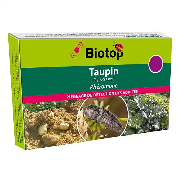 piege taupin potager piege taupin potager