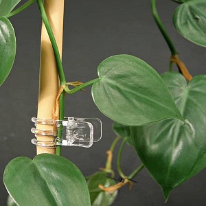 Pinces transparentes Orchidée x7