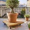 Support plantes carré à roulettes en chataigner