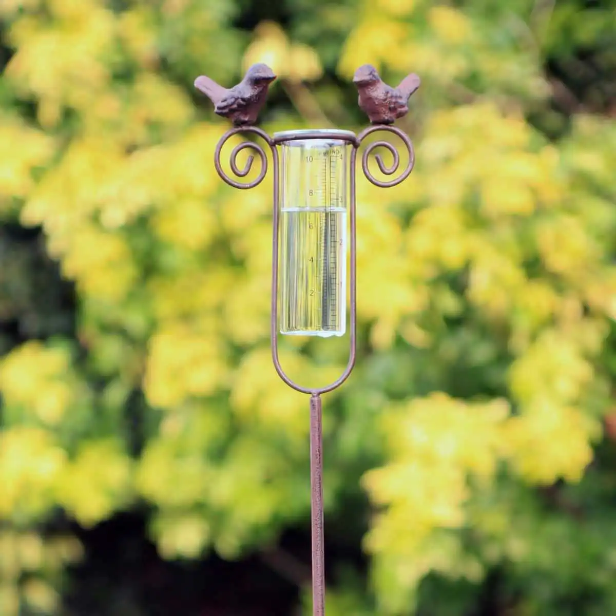 Pluviomètre en verre décoratif  Pluviomètre en verre décoratif