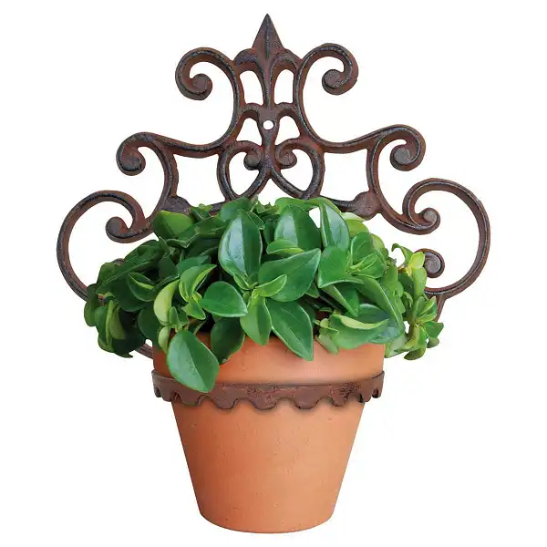 porte pot mural plantes
