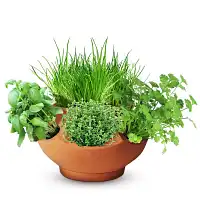 Pot en terre cuite boule ajouré 38cm