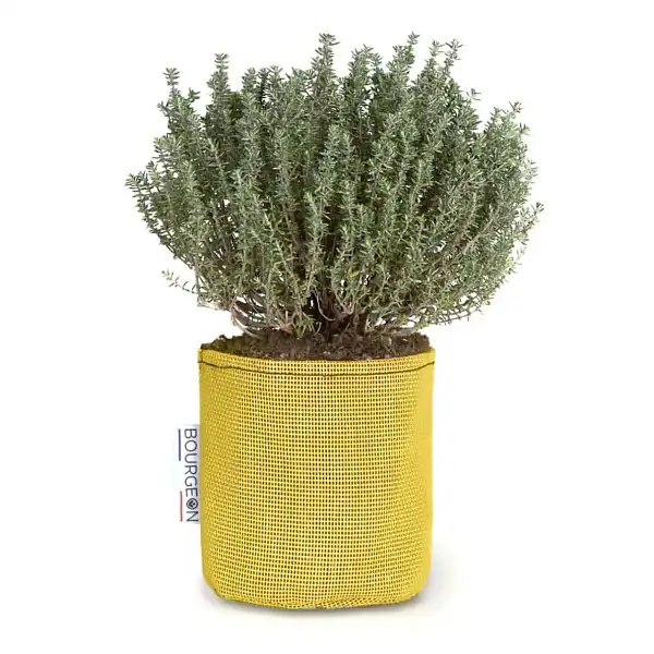 pot jardiniere 12cm jaune