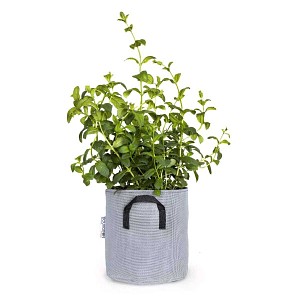 Lien vers un produit variante ou accessoire : Pot de fleur extérieur en textile recyclé 20cm - Gris