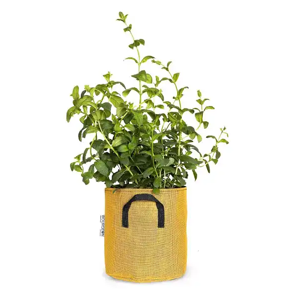 pot jardiniere 20cm jaune