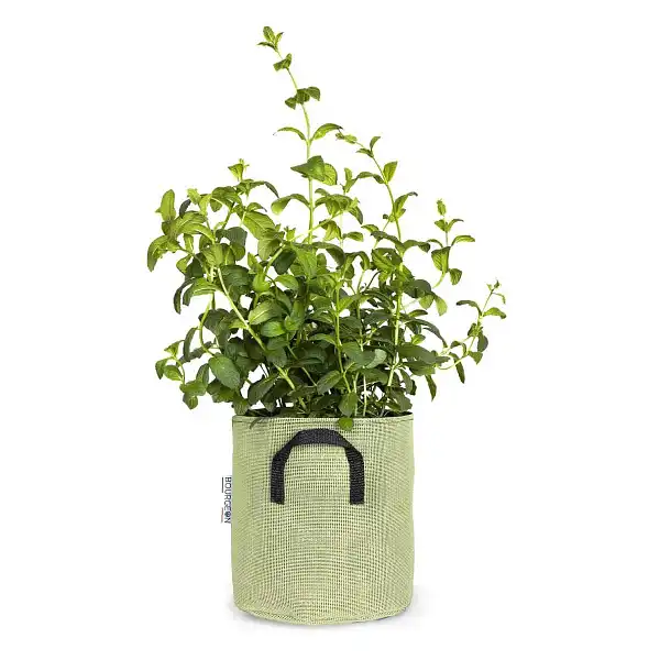 pot jardiniere 20cm vert