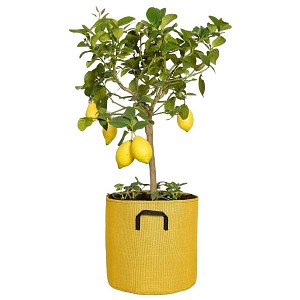 Lien vers un produit variante ou accessoire : Pot de fleur extérieur en textile recyclé 30cm - Jaune